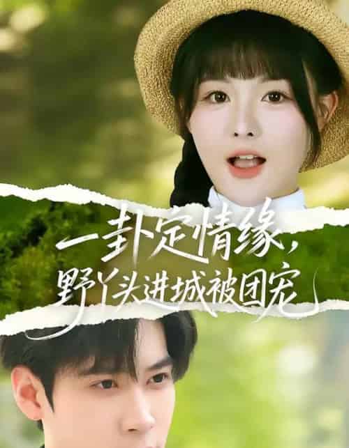 一卦定情缘,野丫头进城被团宠(61集全)胡金池&杨晨(女)-搜外项目网