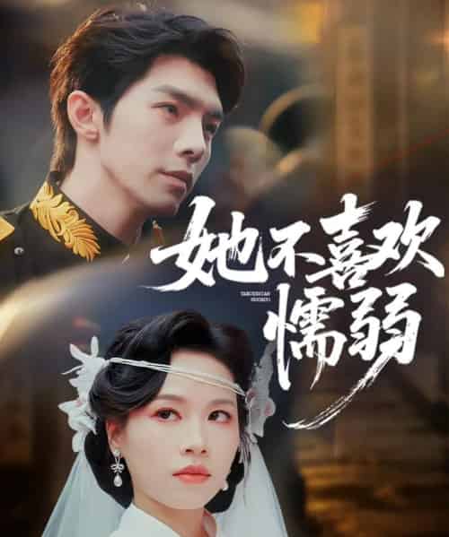 她不喜欢懦弱(65集全)高铭屿&宾淑贤-搜外项目网