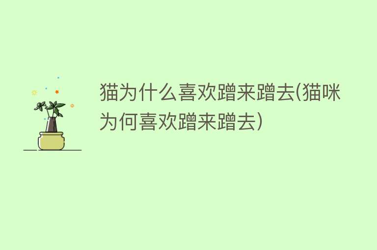 猫为什么喜欢蹭来蹭去(猫咪为何喜欢蹭来蹭去)