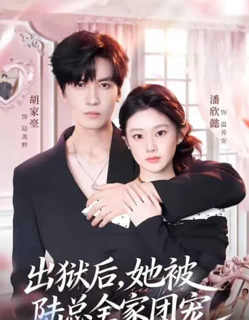 出狱后,她被陆总全家团宠(72集全)胡家豪&潘欣懿-搜外项目网