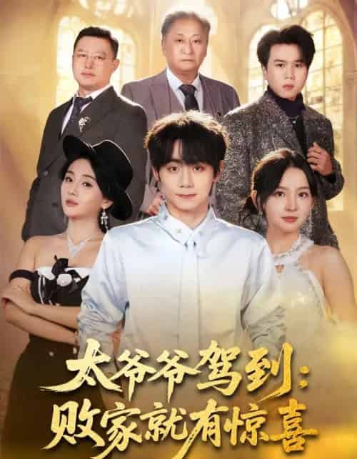 太爷爷驾到:败家就有惊喜(80集全)钟政&张婉悦-搜外项目网