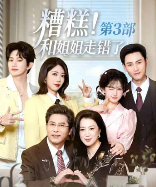 糟糕!和姐姐走错了第3部(60集全)谢予望&汪海敏-搜外项目网