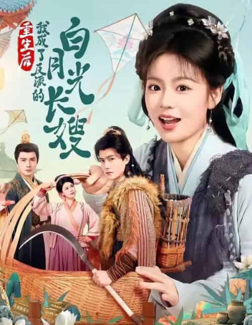 重生后,我成了反派的白月光长嫂(67集全)雷艺昊&张瑞恩-搜外项目网