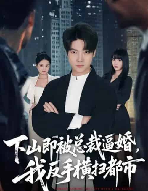 下山即被总裁逼婚,我反手横扫都市(80集全)成梓宁&毛心童-搜外项目网