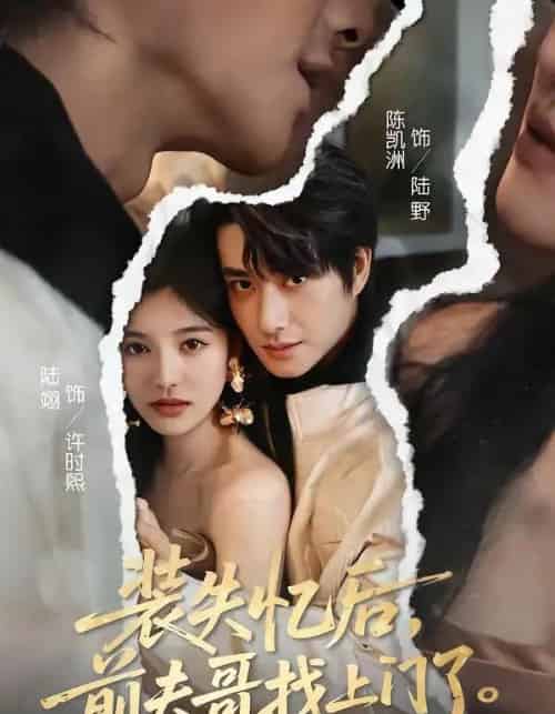 装失忆后,前夫哥找上门了(60集全)陈凯洲&陆翊-搜外项目网