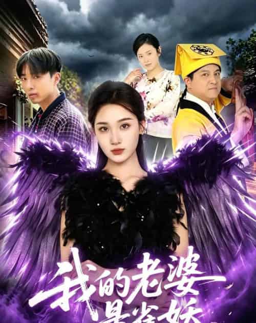 我的老婆是雀妖(60集全)理艺如&辛一-搜外项目网