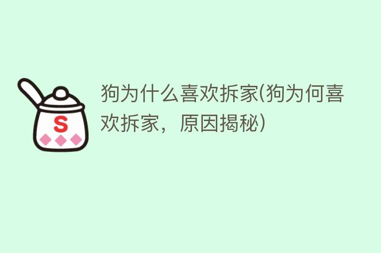 狗为什么喜欢拆家(狗为何喜欢拆家，原因揭秘)