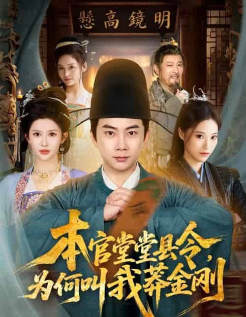 本官堂堂县令,为何叫我莽金刚(80集全)张玉轩&赵亦菲-搜外项目网