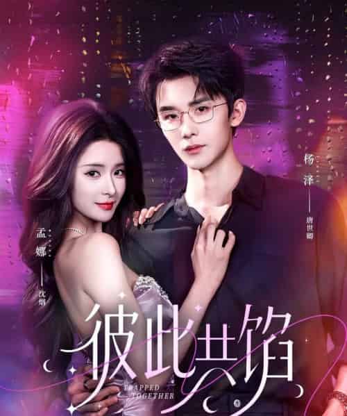 彼此共馅(63集全)杨泽&孟娜-搜外项目网