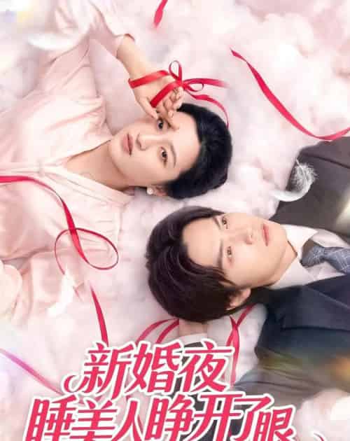 新婚夜睡美人睁开了眼(50集全)刘涵&李玉豪&廖文根-搜外项目网