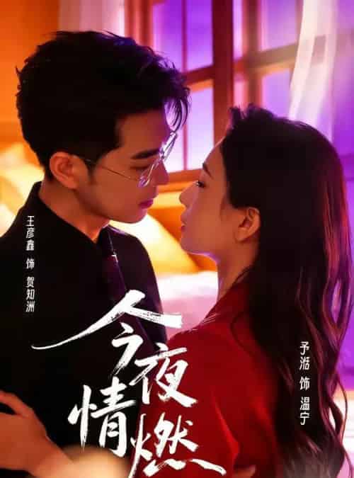今夜情燃(80集全)王彦鑫&张予湉-搜外项目网