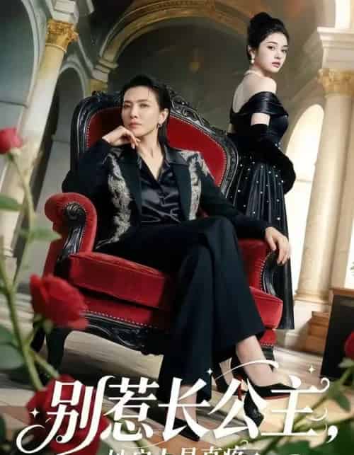 别惹长公主,她扇人是真疼(50集全)AI-搜外项目网