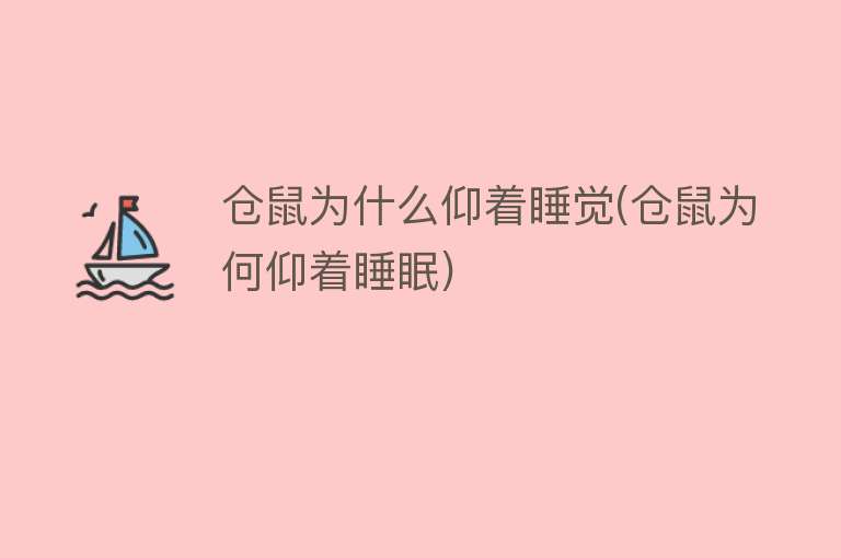 仓鼠为什么仰着睡觉(仓鼠为何仰着睡眠)