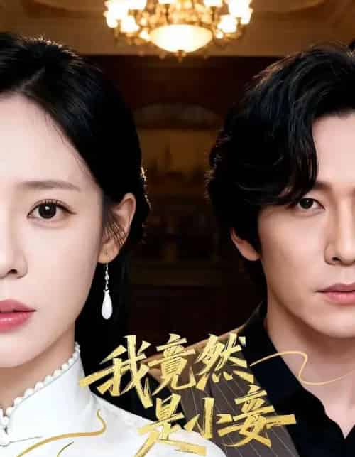 我竟然是小妾(47集全)李家豪&朱彤-搜外项目网