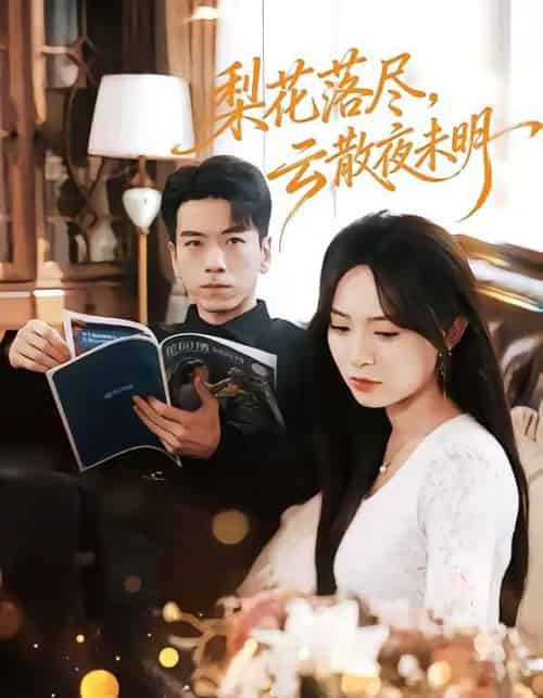 梨花落尽,云散夜未明(60集全)孙飞翔&程林秒-搜外项目网