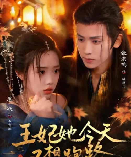 王妃她今天又想跑路(62集全)张洪鸣&墨凝-搜外项目网