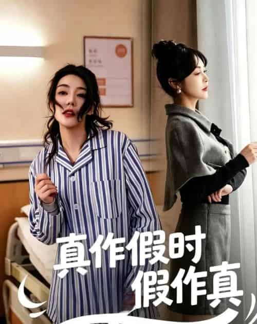 真作假时假作真(60集全)杨一&杜依依-搜外项目网