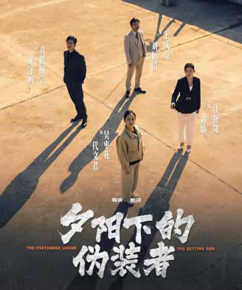 夕阳下的伪装者(47集全)刘灿&龙泽鸣-搜外项目网