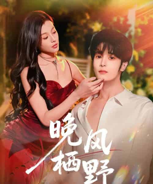 晚风栖野(80集全)林昱希&椿添-搜外项目网
