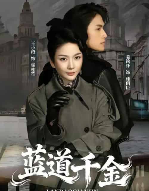 蓝道千金(85集全)姜铭怀&王小橙-搜外项目网