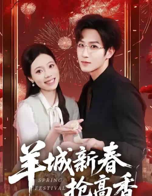 羊城新春抢高香(80集全)王晨钊&罗雯-搜外项目网