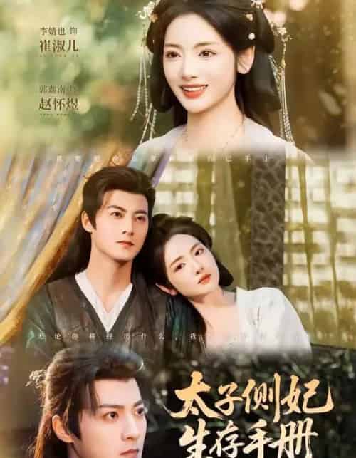 太子侧妃生存手册(63集全)郭迦南&李婧也-搜外项目网