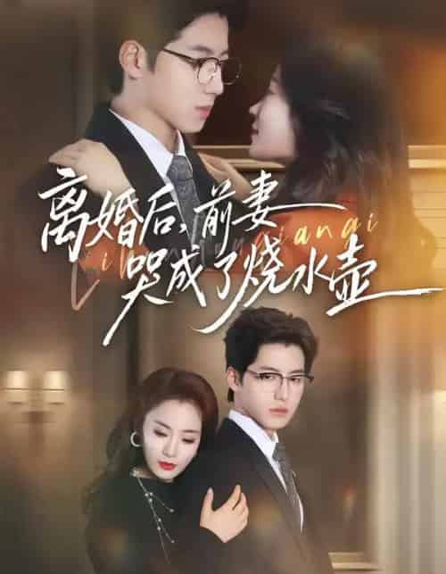 离婚后,前妻哭成了烧水壶(60集全)甜鹅&董星岩-搜外项目网