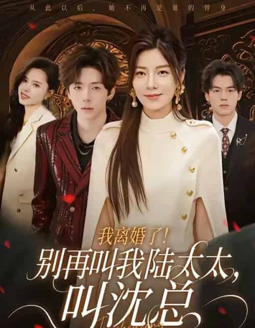 我离婚了!别再叫我陆太太,叫沈总(74集全)张文浩&芝夏-搜外项目网