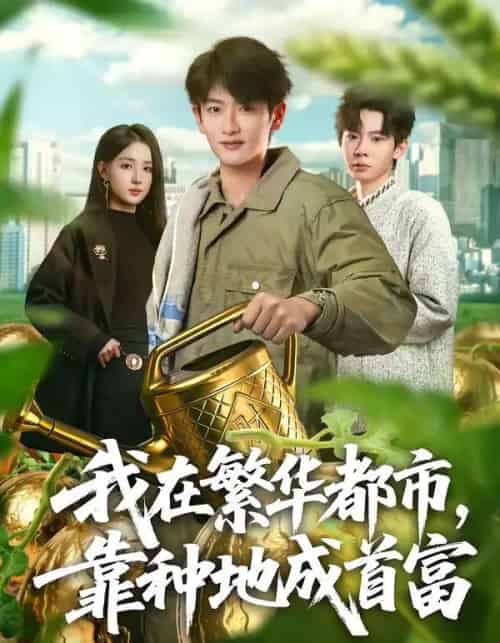 我在繁华都市,靠种地成首富(70集全)韩叙&辛诗琪-搜外项目网