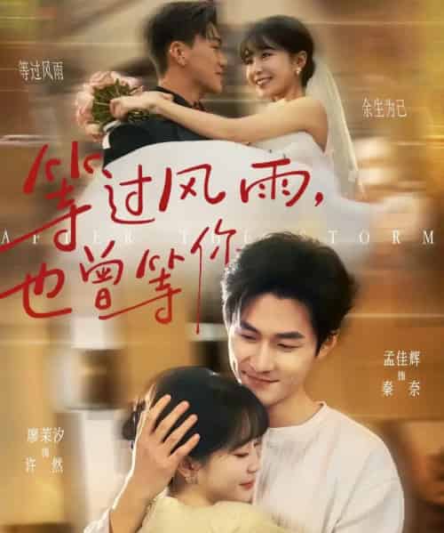 等过风雨,也曾等你(60集全)廖茉汐&孟佳辉-搜外项目网
