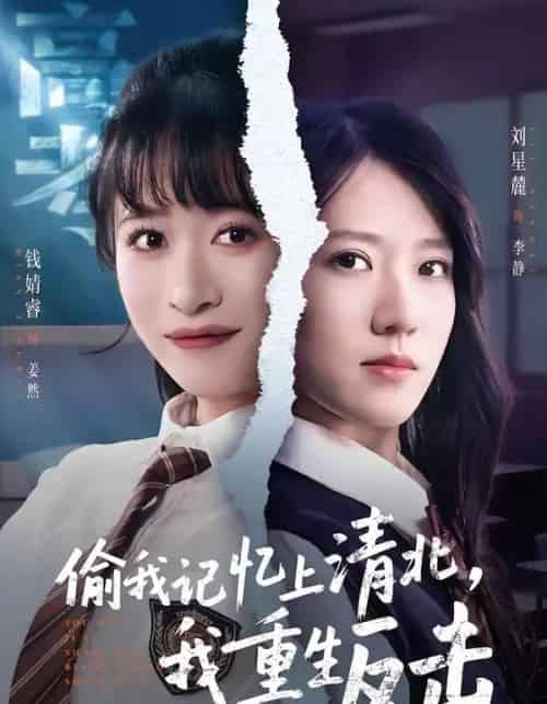 偷我记忆上清北,我重生反击(50集全)钱婧睿&刘星麓-搜外项目网
