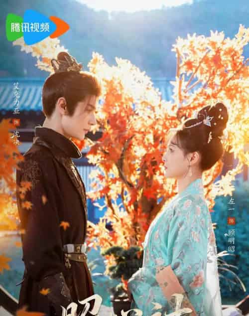 昭心计(59集全)艾克力亚&左一-搜外项目网