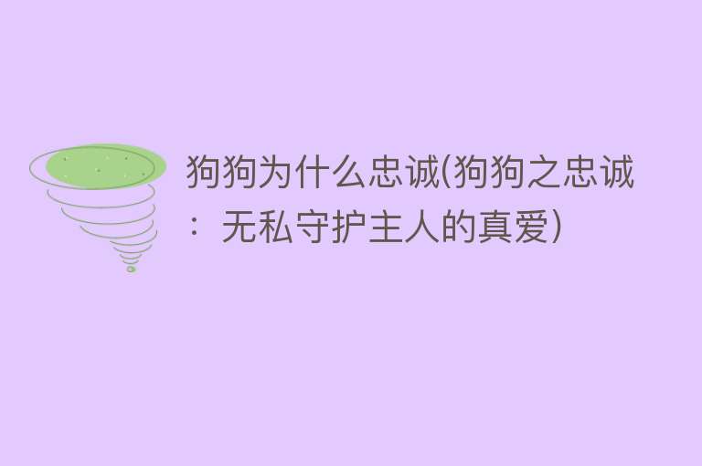 狗狗为什么忠诚(狗狗之忠诚：无私守护主人的真爱)