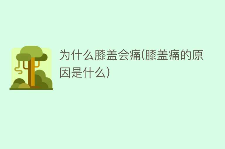 为什么膝盖会痛(膝盖痛的原因是什么)