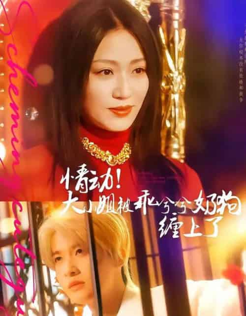 情动!大小姐被乖兮兮奶狗缠上了(83集全)袁一尧&林子琳-搜外项目网