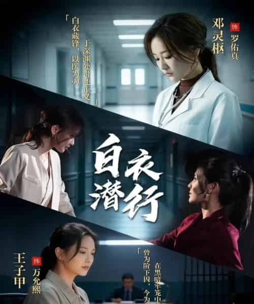 白衣潜行(77集全)王子甲&邓灵枢-搜外项目网