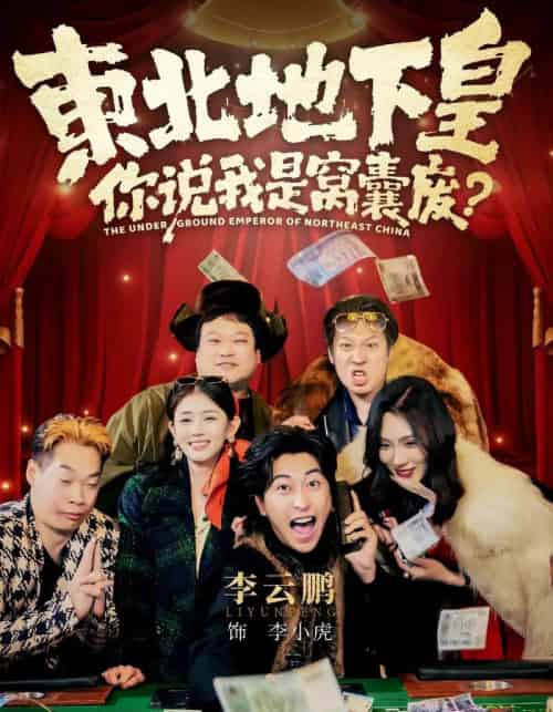 东北地下皇,你说我是窝囊废(72集全)李云鹏&郑其妙&闫佳颖-搜外项目网