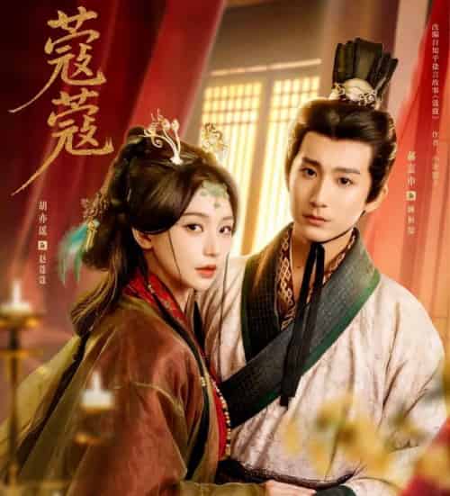 蔻蔻(68集全)郝富申&胡亦瑶-搜外项目网