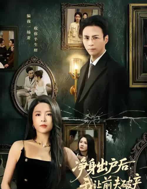 净身出户后,我让前夫破产(52集全)叶台情&杨雪儿-搜外项目网