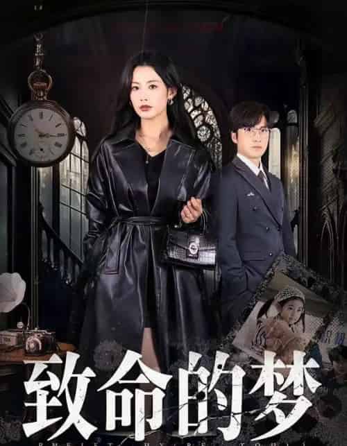 致命的梦(70集全)李岩松&谭雯文-搜外项目网