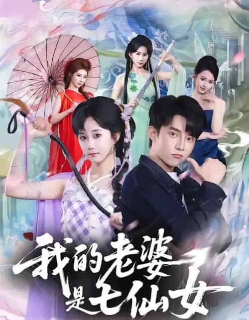 我的老婆是七仙女(57集全)委佳宇&郇依心-搜外项目网