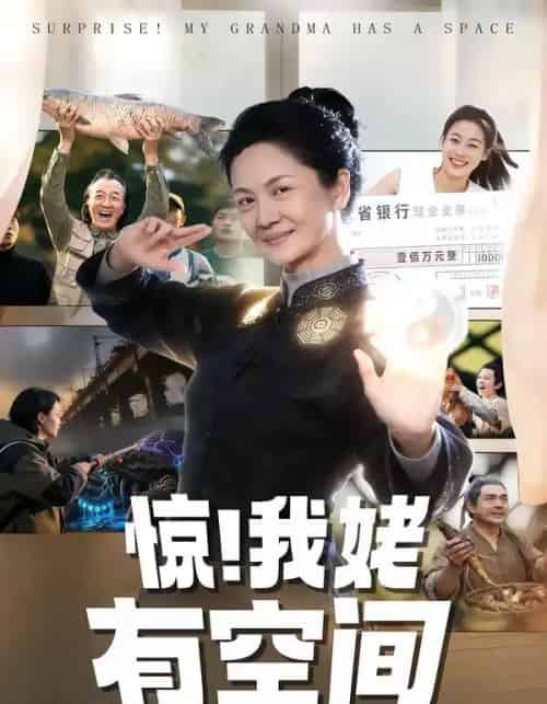 惊!我姥有空间(66集全)李敏&炜平-搜外项目网