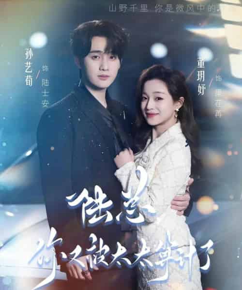 陆总,你又被太太算计了(70集全)孙艺荀&董玥妤-搜外项目网