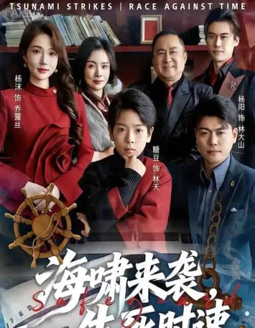 海啸来袭,生死时速(60集全)袁诗昂&杨沫-搜外项目网