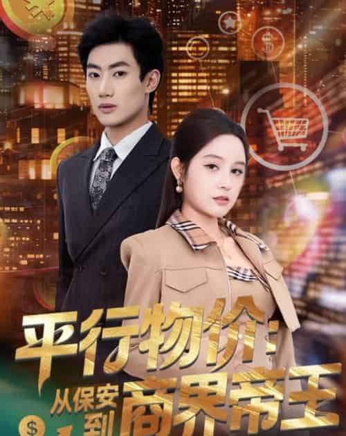 平行物价:从保安到商界帝王(91集全)肖洋&王羽墨-搜外项目网