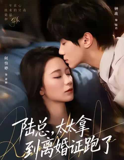 陆总,太太拿到离婚证跑了(86集全)钟政&何依婷-搜外项目网