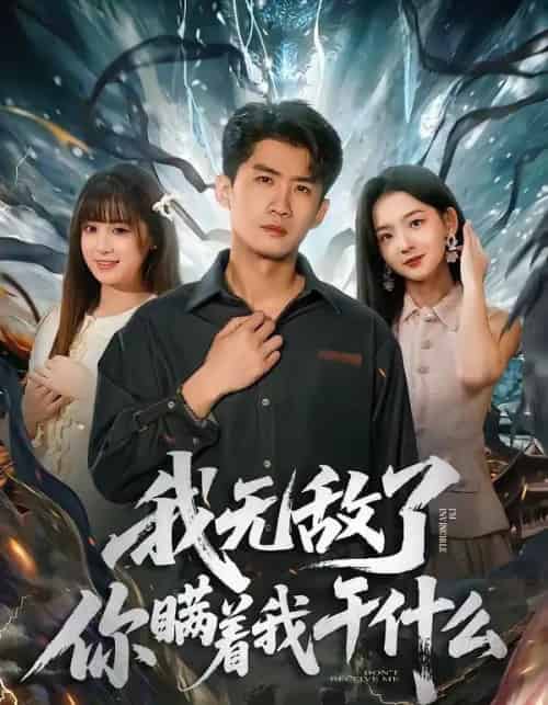 我无敌了你瞒着我干什么(72集全)苏泓奕&张邵禾-搜外项目网