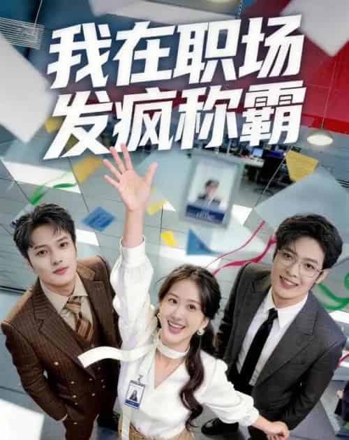 我在职场发疯称霸(70集全)赵怡婷&侯东-搜外项目网