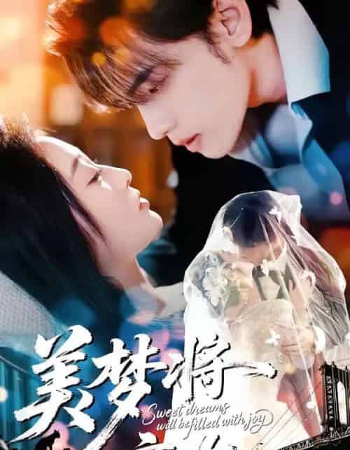 美梦将言欢(61集全)詹璋&陈辞-搜外项目网