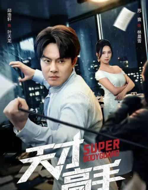 天才高手(69集全)邱浩轩&苏寰-搜外项目网